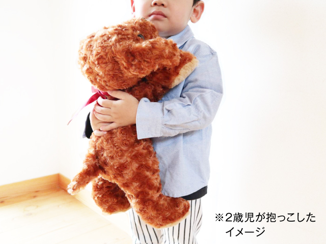 いぬのカール　抱っこイメージ