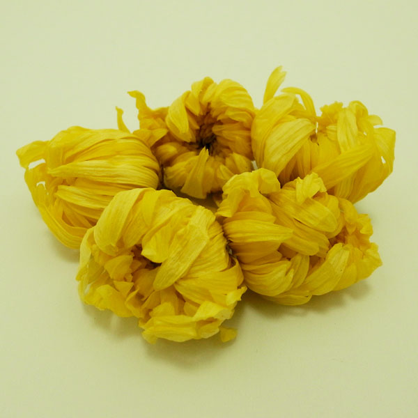 秋のお彼岸に！フェアリーブルーミング専用 菊(黄色5輪入り)数量限定