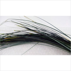 アウトレット！エクアドル産ベアグラス大束