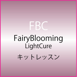 NINAROZAのスクール