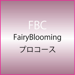 NINAROZAのスクール
