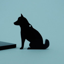柴犬