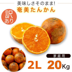 奄美大島 訳あり たんかん タンカン みかん ご家庭用 ２０kg 2Ｌサイズ 奄美訳ありたんかん