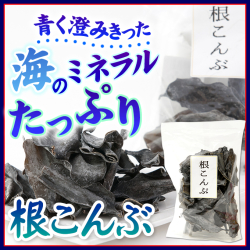 根昆布【こんぶ】100ｇ　根こんぶ