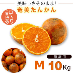 奄美大島 訳あり たんかん タンカン みかん ご家庭用 １０kg Ｍサイズ 奄美訳ありたんかん