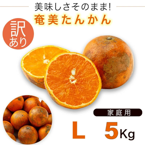 奄美大島たんかん5kg訳ありタンカン/ご家庭用/送料無料