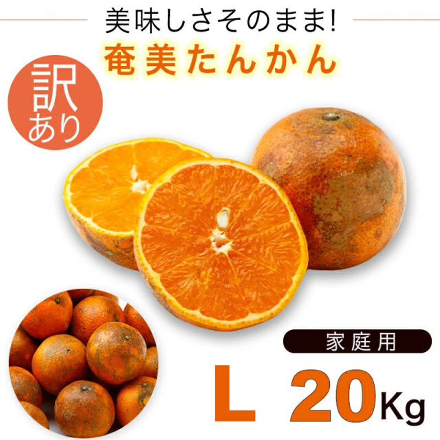 たんかん　20キロ 105 #107 #110奄美大島産‼️たんかん4L‼️20kg‼️ 【公式通販】 果物