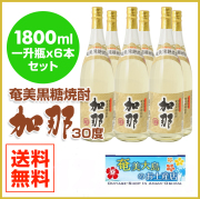 奄美大島産 すもも プラム 約3kg B級品 ご家庭用 Lサイズ（中玉