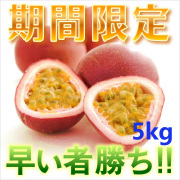 奄美大島訳ありパッションフルーツ５ｋｇ/家庭用/ぱっしょんふるーつ/送料無料