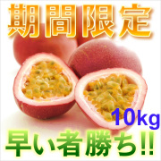 奄美大島訳ありパッションフルーツ１０ｋｇ/家庭用/ぱっしょんふるーつ/送料無料