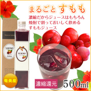 奄美プラム 奄美大島産すもも 3kg - あたり果樹園