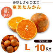 たんかんの通販・お土産｜奄美物産
