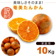 奄美大島たんかん訳ありタンカン10kgサイズ ご家庭用/送料無料