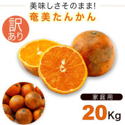 奄美大島たんかん２０ｋｇ訳ありタンカン/ご家庭用/送料無料