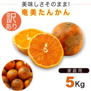 奄美大島たんかん５ｋｇ訳ありタンカン/ご家庭用/送料無料