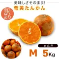 奄美大島 訳あり たんかん タンカン みかん ご家庭用 ５kg Mサイズ奄美訳ありたんかん