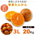 奄美大島 訳あり たんかん タンカン みかん ご家庭用 ２０kg ３Ｌサイズ  奄美訳ありたんかん