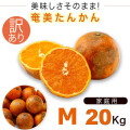 奄美大島 訳あり たんかん タンカン みかん ご家庭用 ２０kg Mサイズ 奄美訳ありたんかん