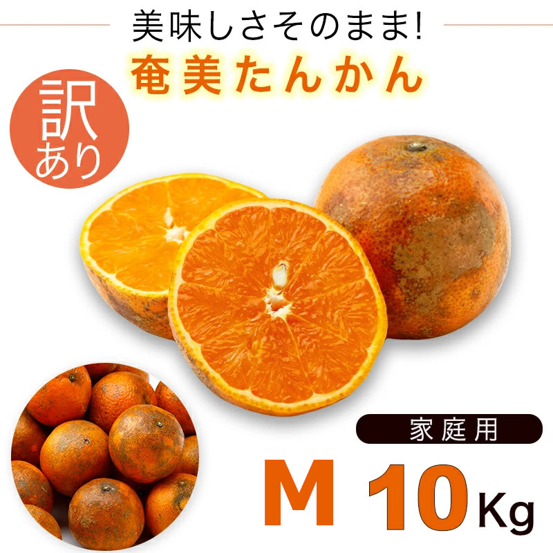 奄美大島 訳あり たんかん タンカン みかん ご家庭用 １０kg Ｍサイズ 奄美訳ありたんかん