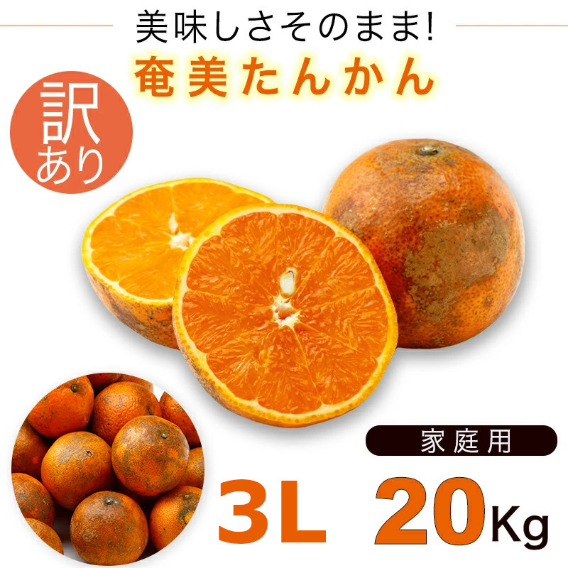 奄美大島 訳あり たんかん タンカン みかん ご家庭用 ２０kg ３Ｌサイズ  奄美訳ありたんかん