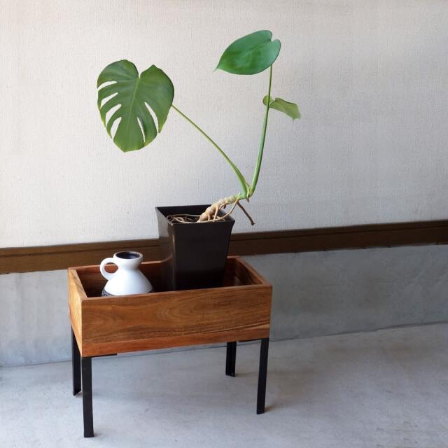 鉄脚付きプラントスタンドS