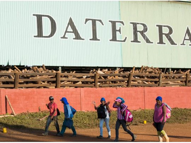 ブラジルダテーラサンライズ