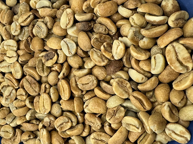 ガテマラグアルバドールアナエロN