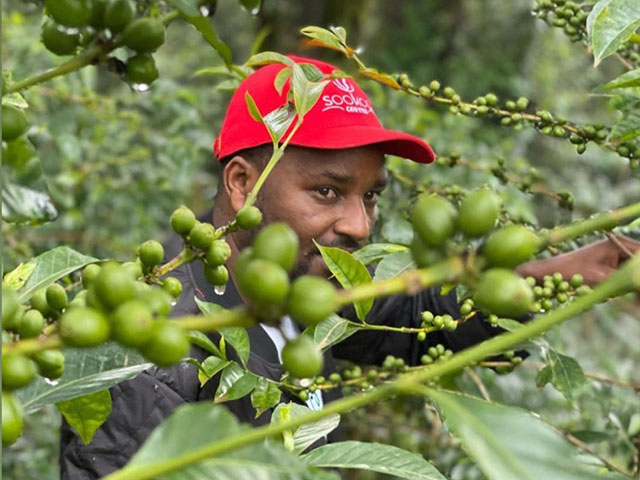 グジSookooお試し3種セット