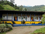 コロンビアCGLEイエローブルボン