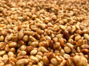 エチオピアSookooゴールデンハニー