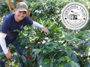 ｺｽﾀﾘｶﾊﾞﾗﾌﾞﾗﾝｶWH