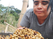 パナマタラマンカスゲイシャ