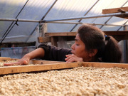 タイクンラオアナエロビックW