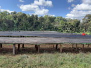 エチオピアウォッテ