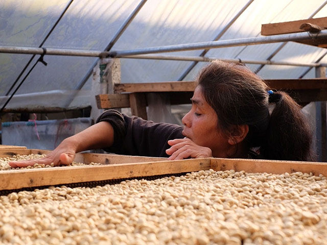 タイクンラオアナエロビックW