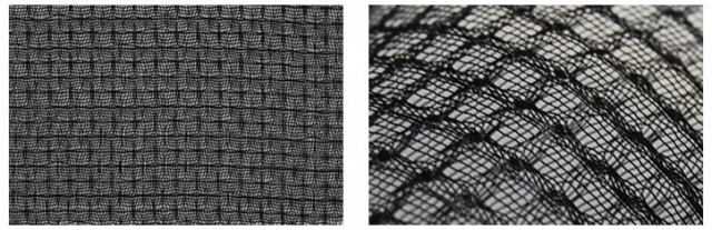 サランハニカム