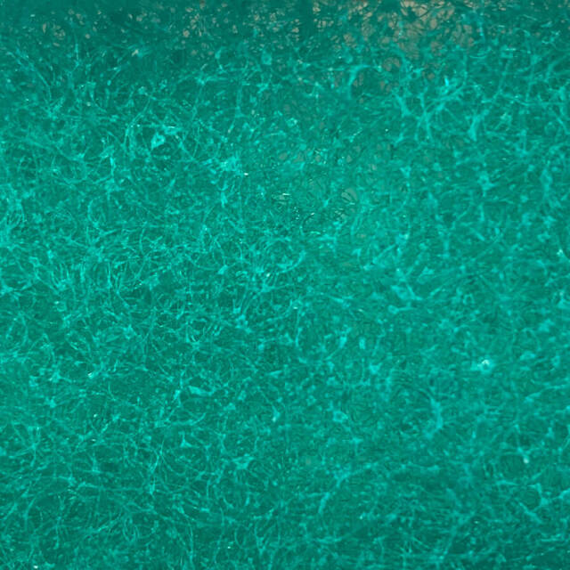 サランロック（ami-cs100-10）