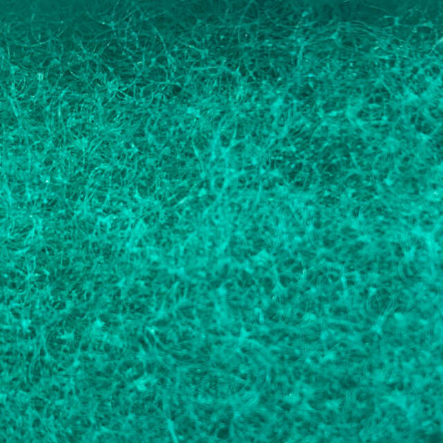 サランロック（ami-cs100-20）