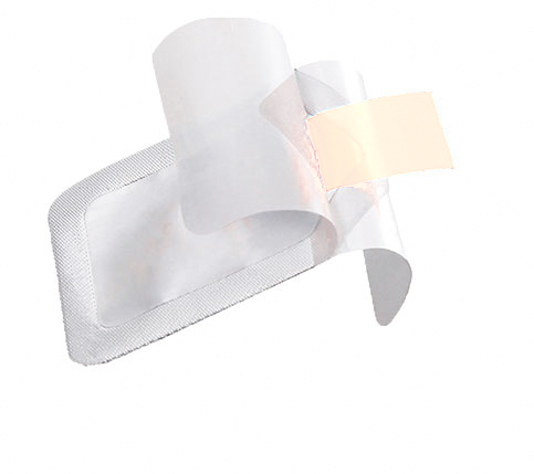 【Orders from outside Japan】 tantore sheet (100 sheets) grape flavor