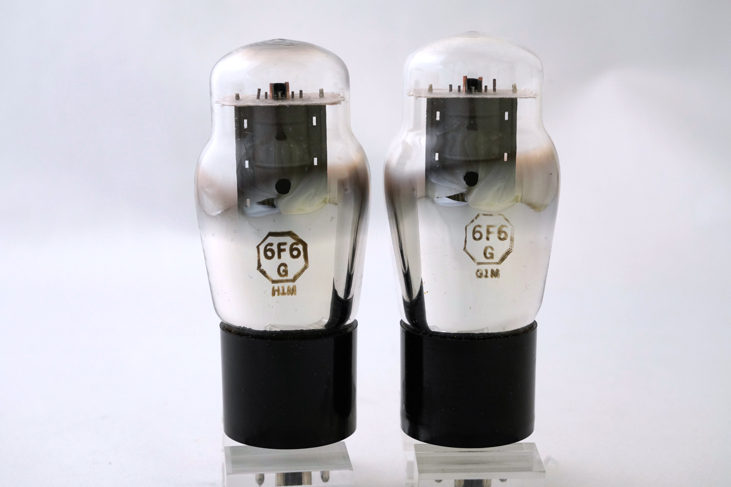 6F6G USA マッチドペア