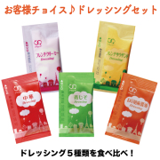 選べる ドレッシングセット 5種 100食×10袋（計1000食）[送料無料]