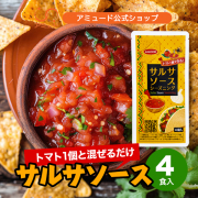 サルサソース シーズニング（16g×4食入）[メール便対象]