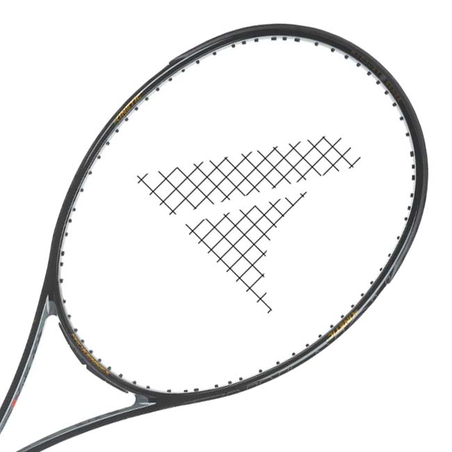 ＼決算祭20％OFFクーポン対象／【10%OFFマジッククーポン対象】プロケネックス(ProKennex) 2025 Black Ace Pro ブラックエース プロ (305g) 海外正規品 硬式テニスラケット CO-15162 グレー×ブラック(25y3m)[AC]