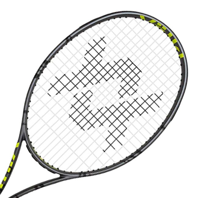 【10％OFFマジッククーポン対象】フォルクル(Volkl) 2025 C10 EVO C10 エボ (310g) 日本正規代理店品 硬式テニスラケット V15572 グレー×ブラック(26y3m)[AC]