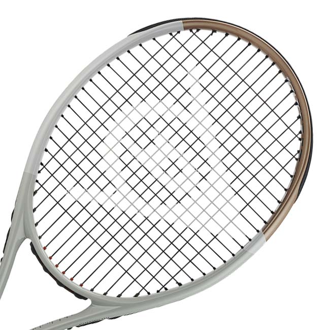 【10％OFFマジッククーポン対象】ダンロップ(DUNLOP) 2024 LX800 エルエックス800 (255g) 海外正規品 硬式テニスラケット DS22407グレー×ゴールド(24y8m)[NC]