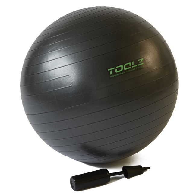 [全身トレーニングに]トップスピン(TOPSPIN) ／ツールズ(TOOLZ) ジムナスティック エクササイズボール 65cm LS3222-TZGNB65(21y1m)