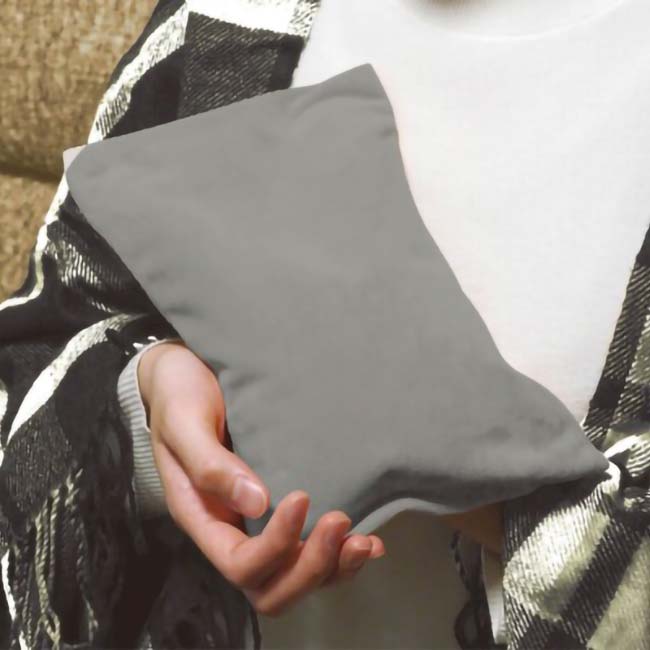 在庫処分特価】「いつでもどこでも温めてくれる冬の相棒」ハック(HAC) 蓄熱式 湯たんぽ ポカヌック コードレス仕様 専用収納ケース付き HAC4299Aアッシュグレー(24y9m)