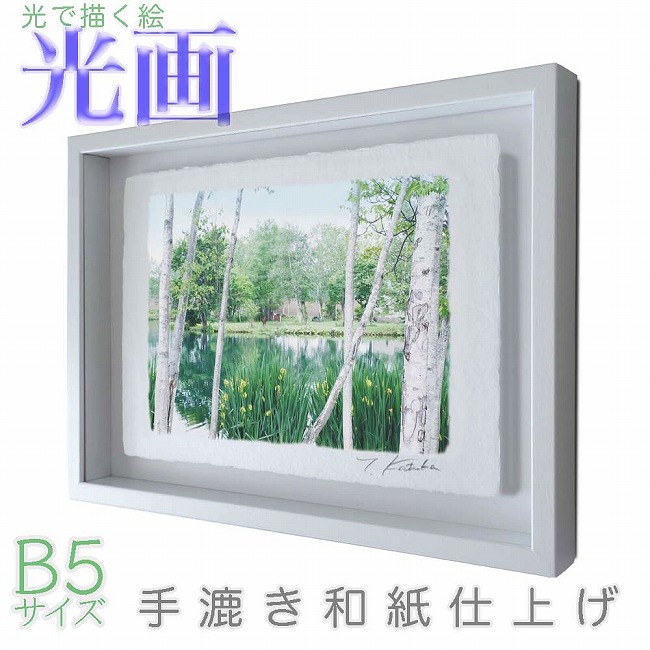 プロカメラマン片岡司 光画「緑輝く」 B5サイズ 光で描く絵 手漉き和紙仕上げ 010-B5-ホワイト綺麗 背景 パステルカラー 和紙アート(21y8m)