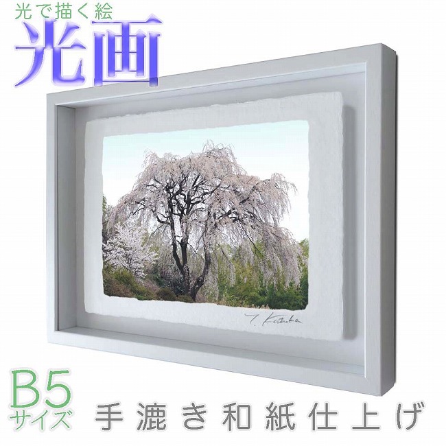 プロカメラマン片岡司 光画「山笑う」 B5サイズ 光で描く絵 手漉き和紙仕上げ 008-B5-ホワイト綺麗 背景 パステルカラー 和紙アート(21y8m)