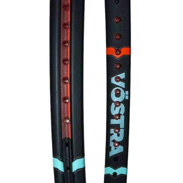 11％OFFマジッククーポン対象】フォルクル(Volkl) 2025 Vostra V1 PRO